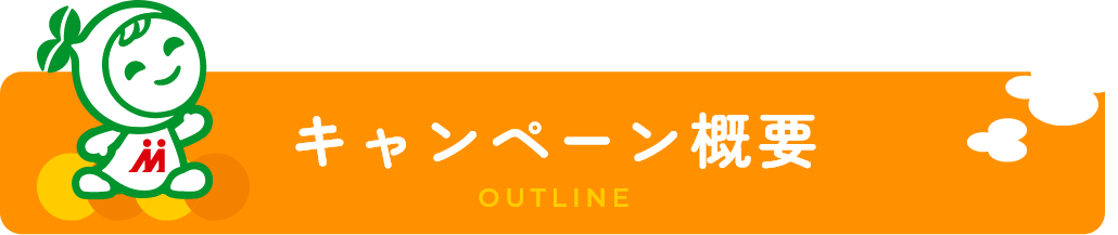 キャンペーン概要